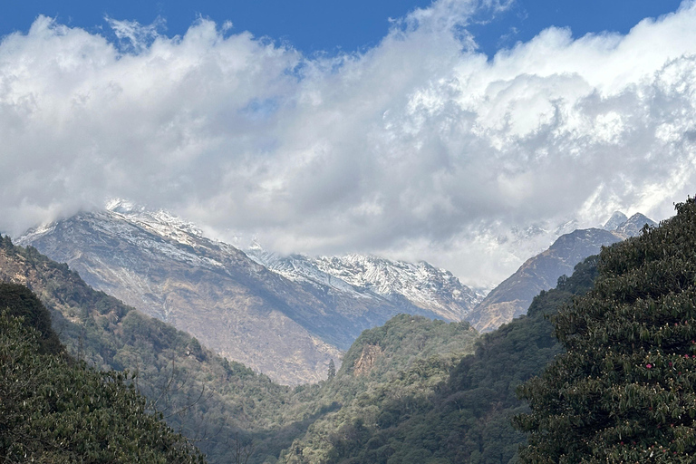 From Pokhara: 4-Day Ghorepani Poon Hill Trek with Guide