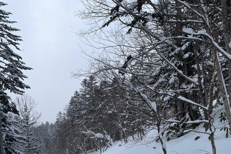 Shikotsu-Toya National Park: Guided Snowshoe Hike and Onsen Shikotsu-Toya National Park: Guided Snowshoe Hike and Onsen.