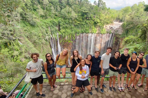 Malang: Tumpaksewu, Mount Bromo, Mount Ijen, Bali 3-Day Tour Private Homestay & Hotel