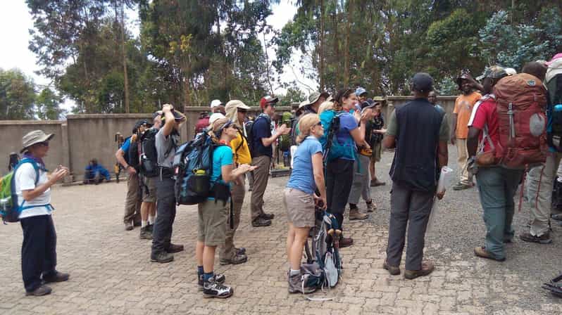 Monte Kilimanjaro: escursione di 1 giorno sul Monte Kilimanjaro