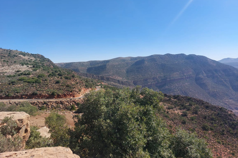 Agadir: High Atlas Mountains, Goats on Trees & Garden Tour