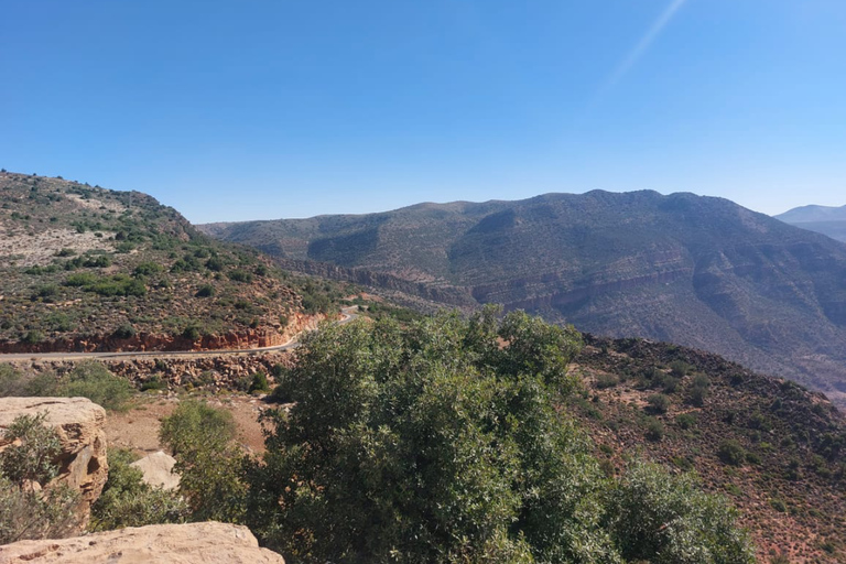 Agadir: High Atlas Mountains, Goats on Trees & Garden Tour