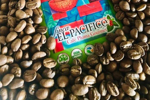 Huatulco: Santa Maria and Pluma Hidalgo Coffee Tour