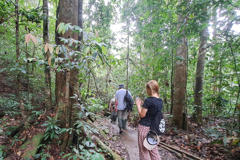 辛哈拉加雨林之旅