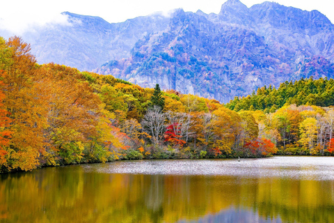 Nagano: Snow Monkeys, Zenkoji Temple & Sake Day Trip From Tokyo: Private Tour to Snow Monkey Park