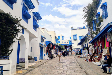 Tunis Medina, Carthage, and Sidi Bou Said Private Day Trip