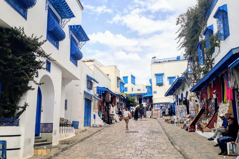 Tunis Medina, Carthage, and Sidi Bou Said Private Day Trip