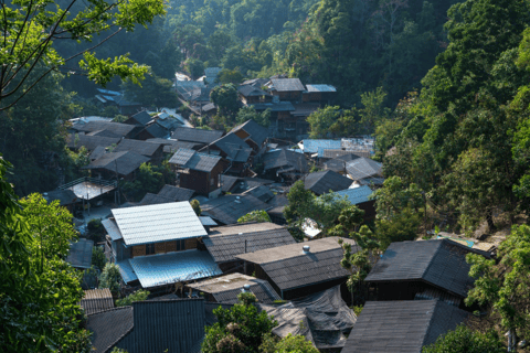 Chiang Mai: Mae Kampong Village Trek & Local Food Experience