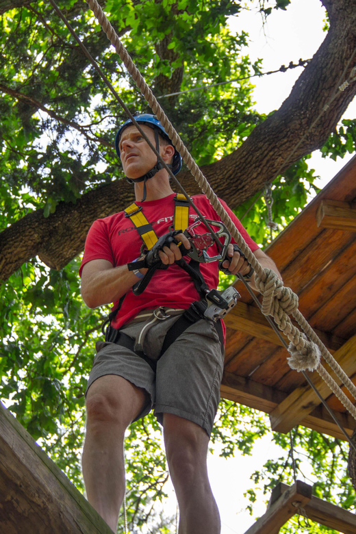 Dallas: Aerial Adventure Course Park Pass | GetYourGuide