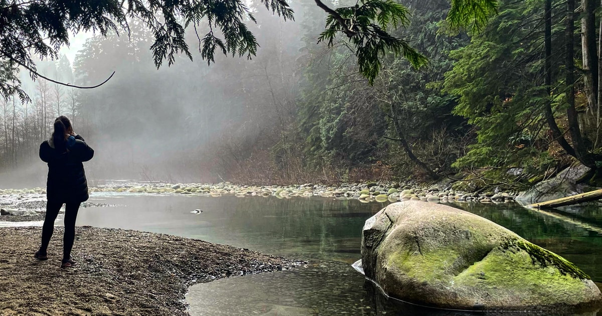 North Vancouver: Lynn Canyon Guided Hike | GetYourGuide