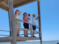 Safari & Birdwatching in Vjosa-Narta Protected Landscape - Housity