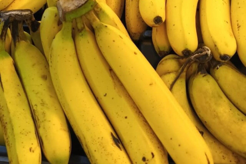 Wyspa Pemba: wycieczka po farmie przypraw, Chake Chake i PujiniWyspa Pemba: wycieczka do farmy przypraw, Chake Chake i Pujini