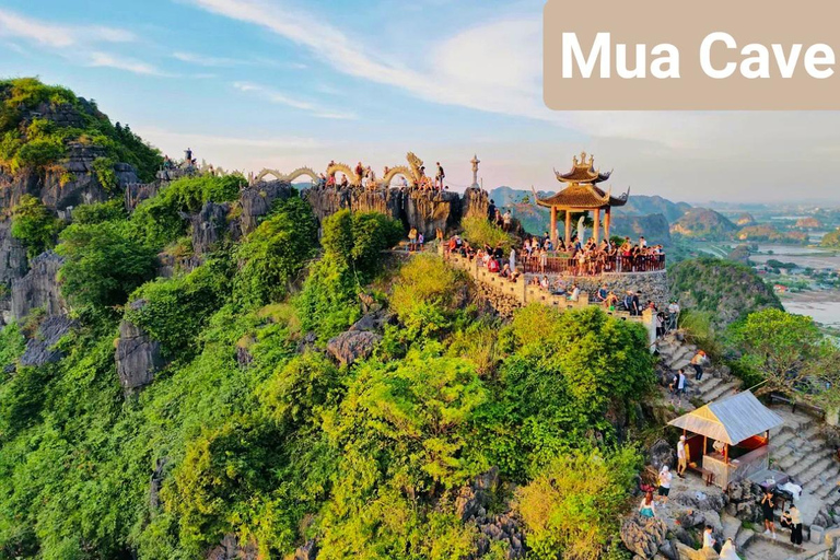 From Hanoi/Ninh Binh: Full-Day Private Car with Lunch&Guide From Ninh Binh: Full-Day Round-Trip Private Transfer