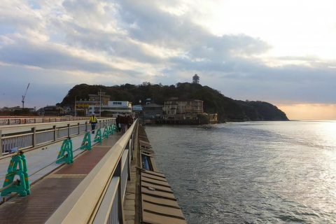 Tokyo, Mt. Fuji, Kyoto, Osaka: 7-Day Private Tour of Japan