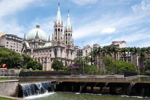 Santos Private Shore Excursion: Sao Paulo Full Day City Tour Private experience up to 3 people