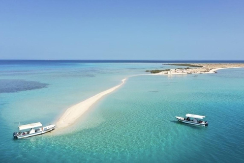 Jeddah: Private Deep Sea Fishing & Bayada Island Reef Swim