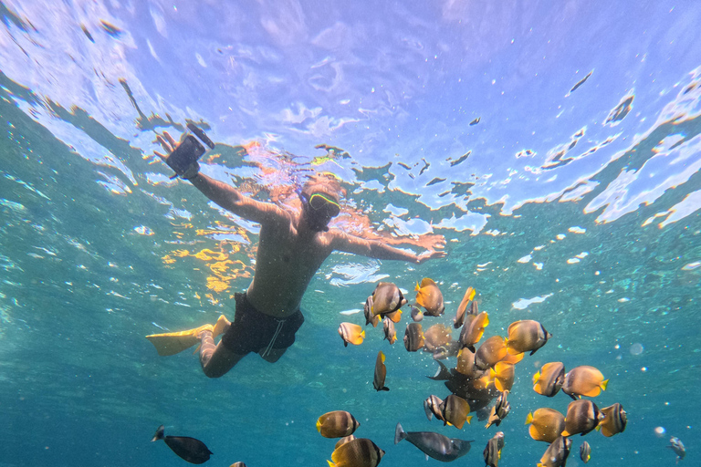 Bali/Nusa Penida: Private Snorkeling With Guide & West Tour Transfer from Sanur Area