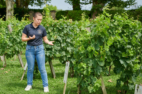 Ontdekkingstocht van Château Haut Breton Larigaudière