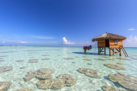 Zanzíbar: Tour de día completo Safari Azul con almuerzo y traslado