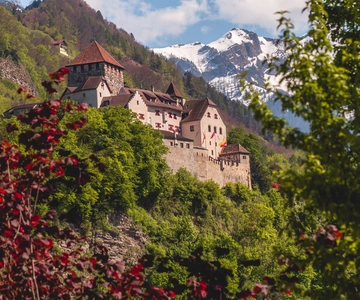Vaduz: Caminhada Surpresa pela cidade com um morador local