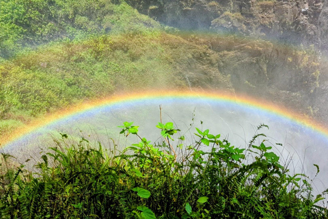 Victoria Falls Guided Sunset Tour – Golden Hour Experience Victoria Falls Golden Hour Tour – Photo Walk