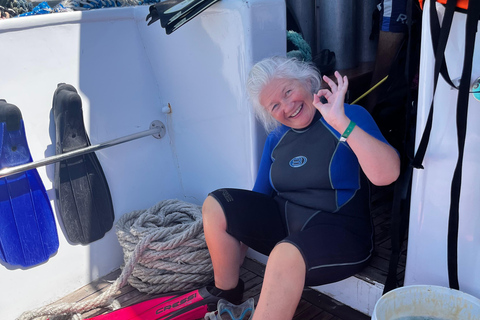 Sharm El Sheikh: Ras Mohamed & White Island Snorkeling trip