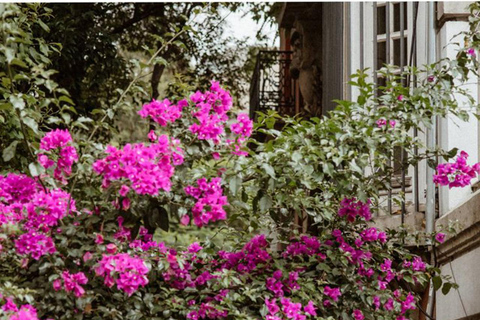 Tour fotográfico de Ciudad de Mexico con un fotógrafo privado