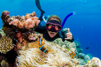 Cairns, grande barriera corallina snorkeling o tour per immersioni e pranzo - Housity