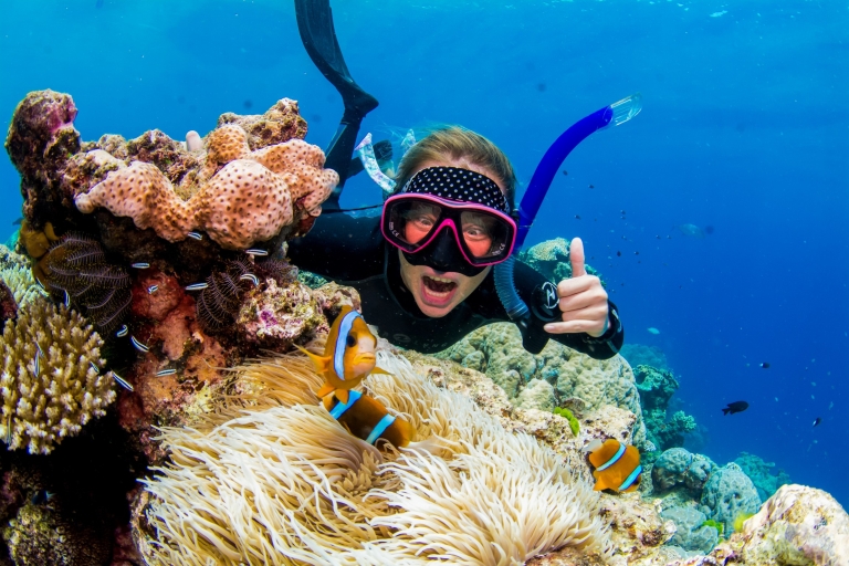 Ab Cairns: Premium-Schnorchel-Tour zum Great Barrier ReefPremiumtour zum Great Barrier Reef - Schnupper-Tauchgang