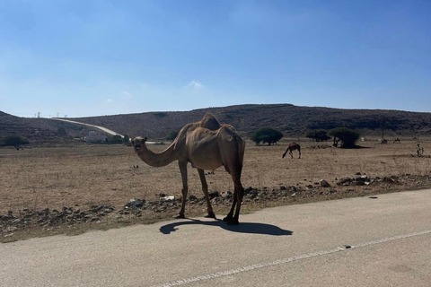 Salalah: Wadi Derbat, Jabal Samhan, & Sink Hole privétour