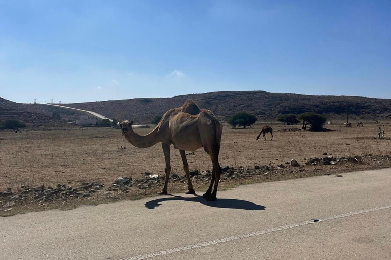 Salalah: Wadi Derbat, Jabal Samhan, & Sink Hole privétour