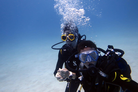 Blue Bay: Discover Scuba Diving