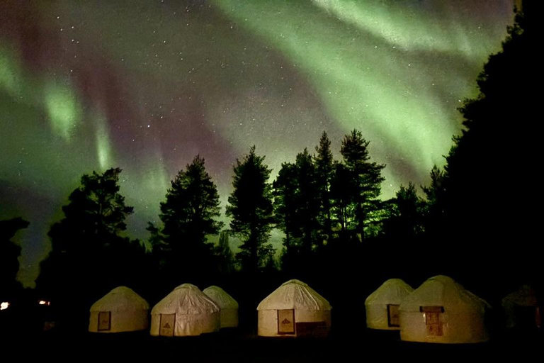 Levi: Northern Lights Yurt Dinner & Arctic Village