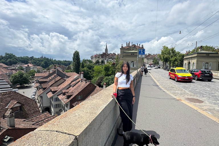 From Zurich: Private Day Trip to Bern’s Top Sights
