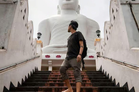 From Colombo/Negombo: Kandy ,Pinnawala ,Tea Factory Day Tour