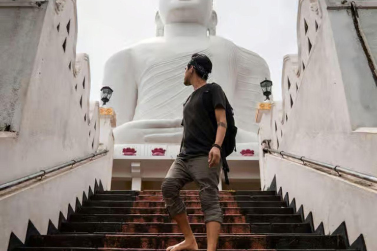 From Colombo/Negombo: Kandy ,Pinnawala ,Tea Factory Day Tour