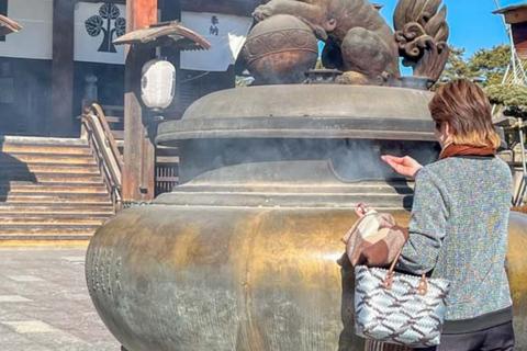 From Tokyo & Nagano: Snow Monkey Private Customizable Tour