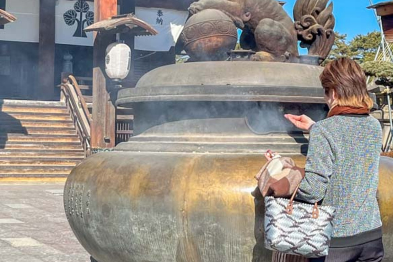 From Tokyo & Nagano: Snow Monkey Private Customizable Tour