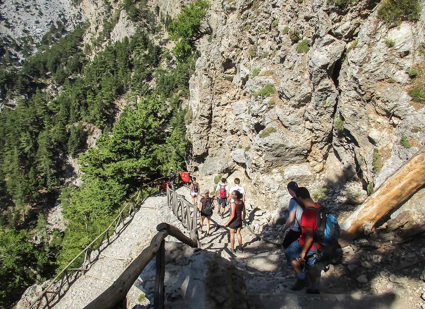 Fra Chania: Heldagsudflugt i Samaria-kløften med guide