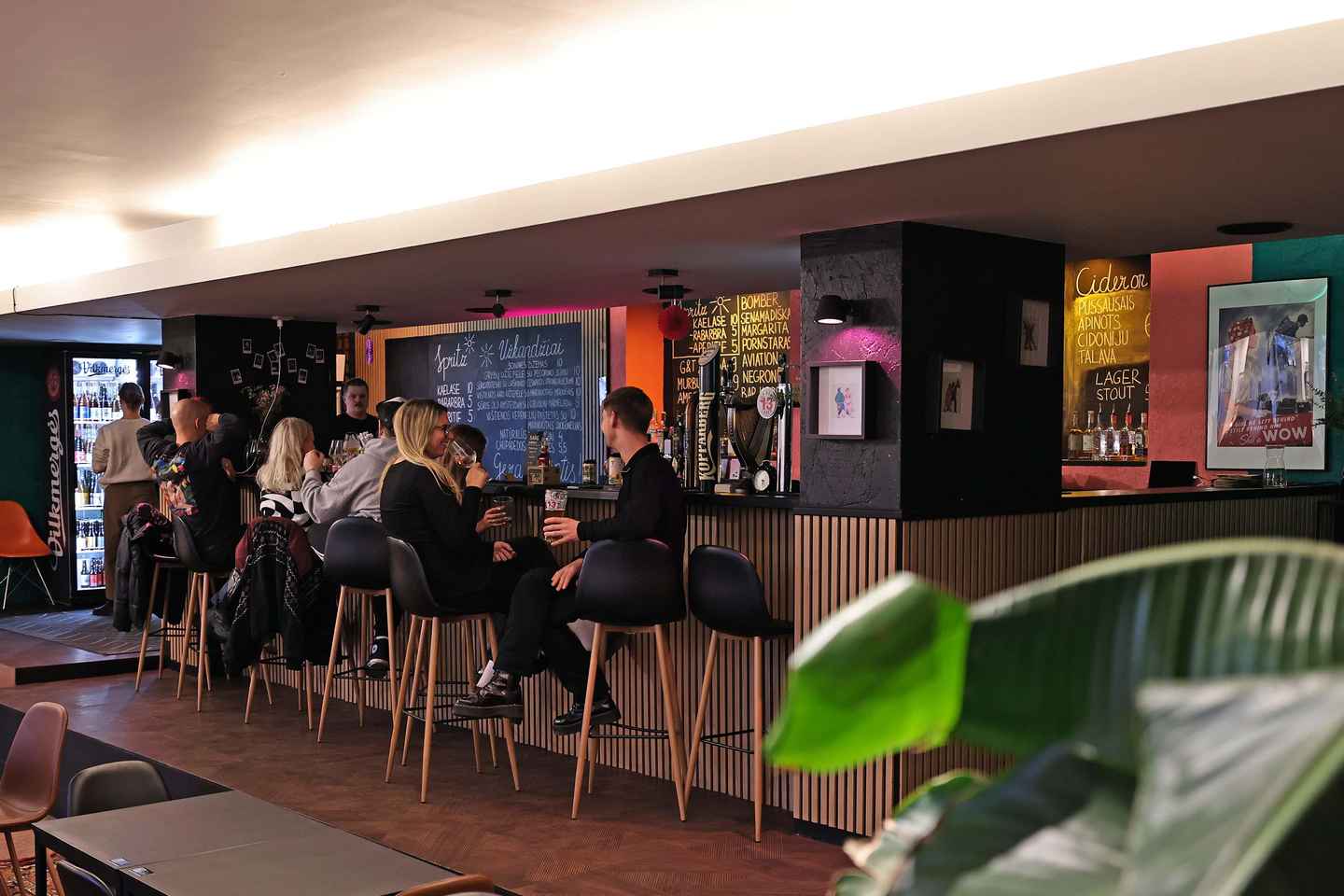 Vilnius: Baltic Cider Tasting Experience