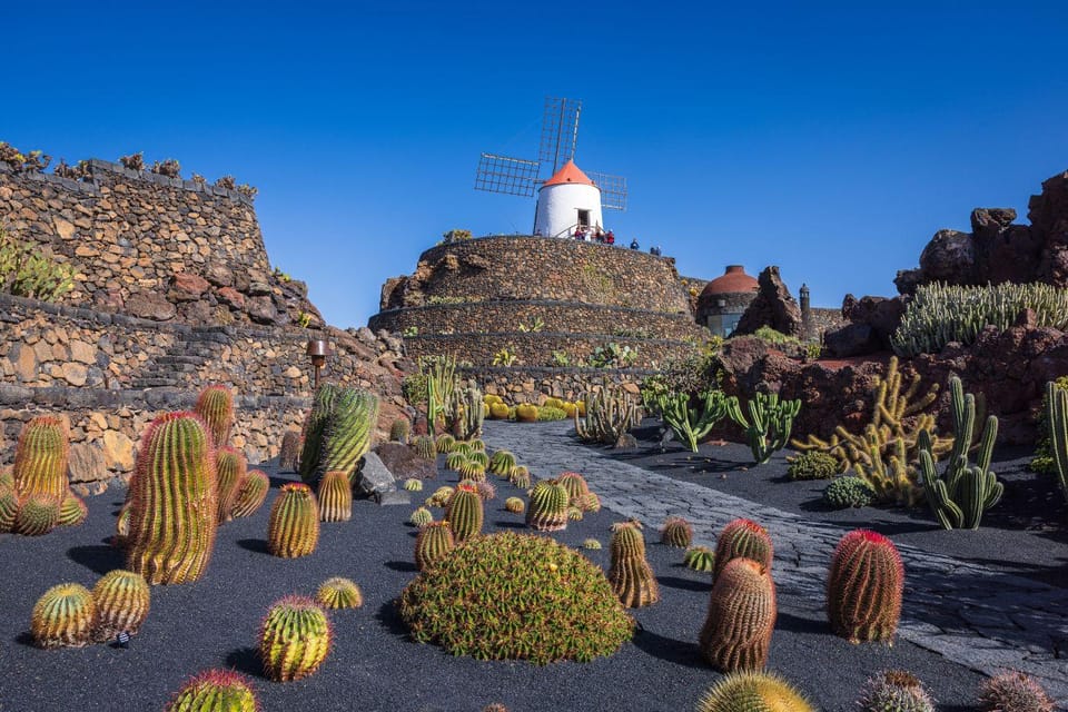 Cacti on stone terraces below the windmill in Jardín de Cactus