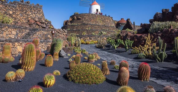 Lanzarote: César Manrique Art and Nature Private Tour
