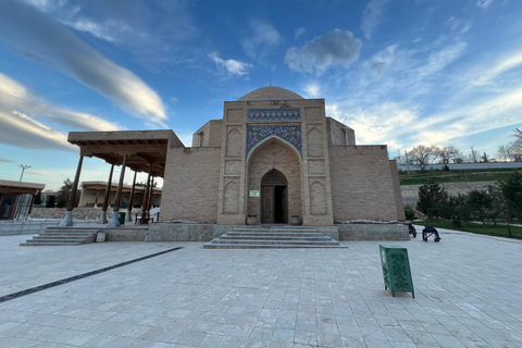 From Bukhara/Samarkand: 2-Day Aydarkul Lake & Yurt Camp Tour Private tour to Aydar Lake & Yurt from Bukhara to samarkand