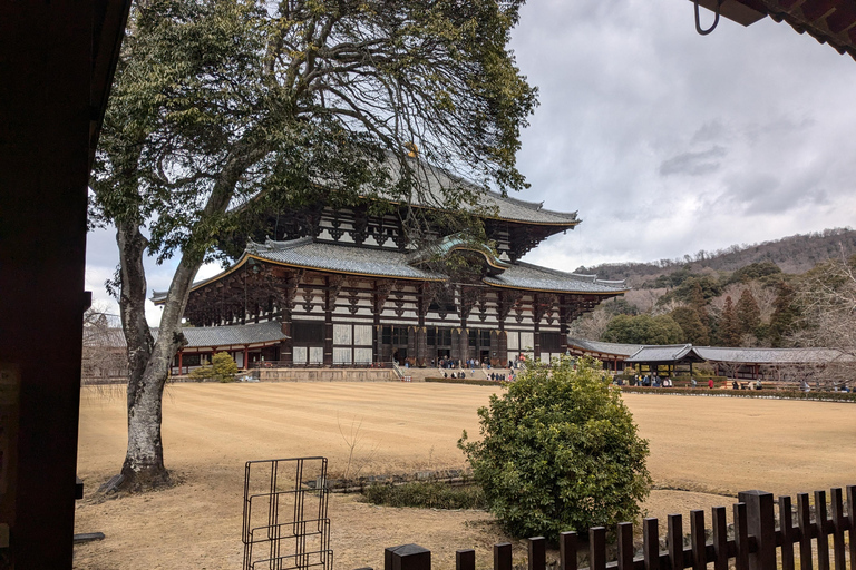 Private Nara Tour: UNESCO Heritage Sites & Deer Park Tour