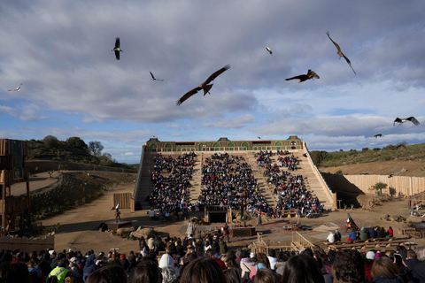 Madrid: Puy du Fou Round-Trip Transfer &amp; Optional TicketTransfer Madrid-Puy du Fou (return after El Sueño de Toledo)