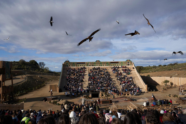 Madrid: Puy du Fou Round-Trip Transfer &amp; Optional TicketTransfer Madrid-Puy du Fou (return after El Sueño de Toledo)