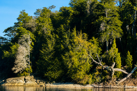 Navigation on Lake Nahuel Huapi — La Escuelita Bay or Huemul Island Huemul Island