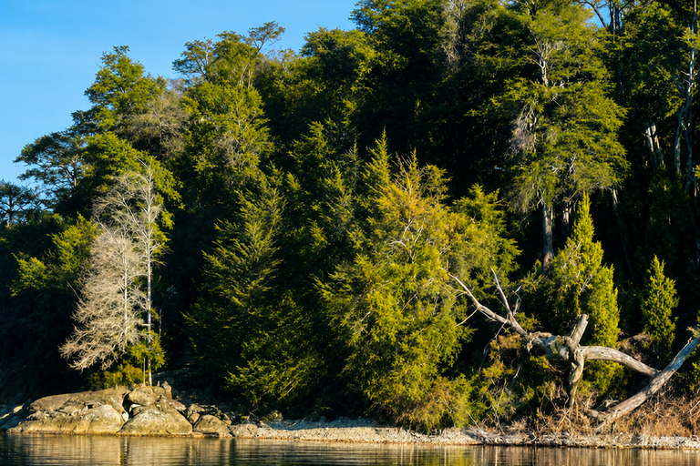 Navigation on Lake Nahuel Huapi — La Escuelita Bay or Huemul Island Huemul Island
