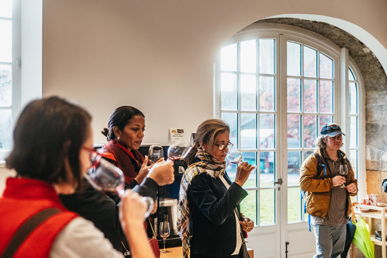 De Lyon: Visita ao vinho da região de Beaujolais com degustaçõesDe Lyon: Tour de vinhos da região de Beaujolais com degustações