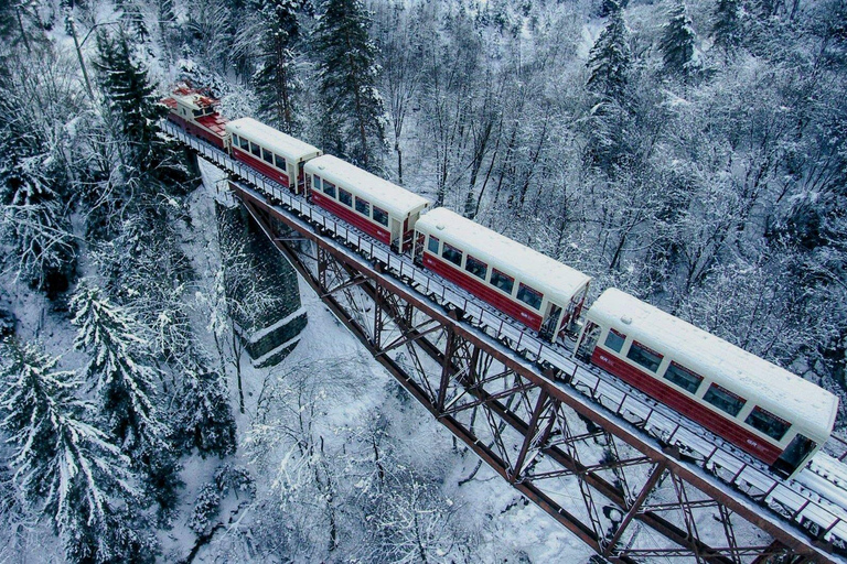 From Tbilisi Bakuriani and Borjomi Day Trip